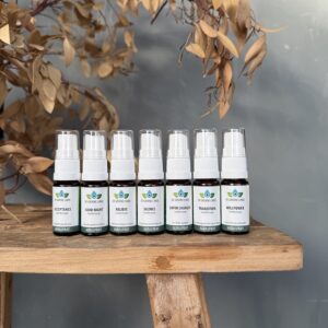Soul Recharge Pocket spray set, De Groene Linde bij Soin Total