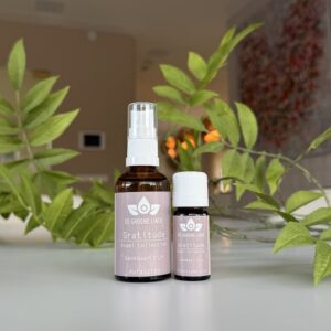 Angel collection, Gratitude De Groene Linde bij Soin Total